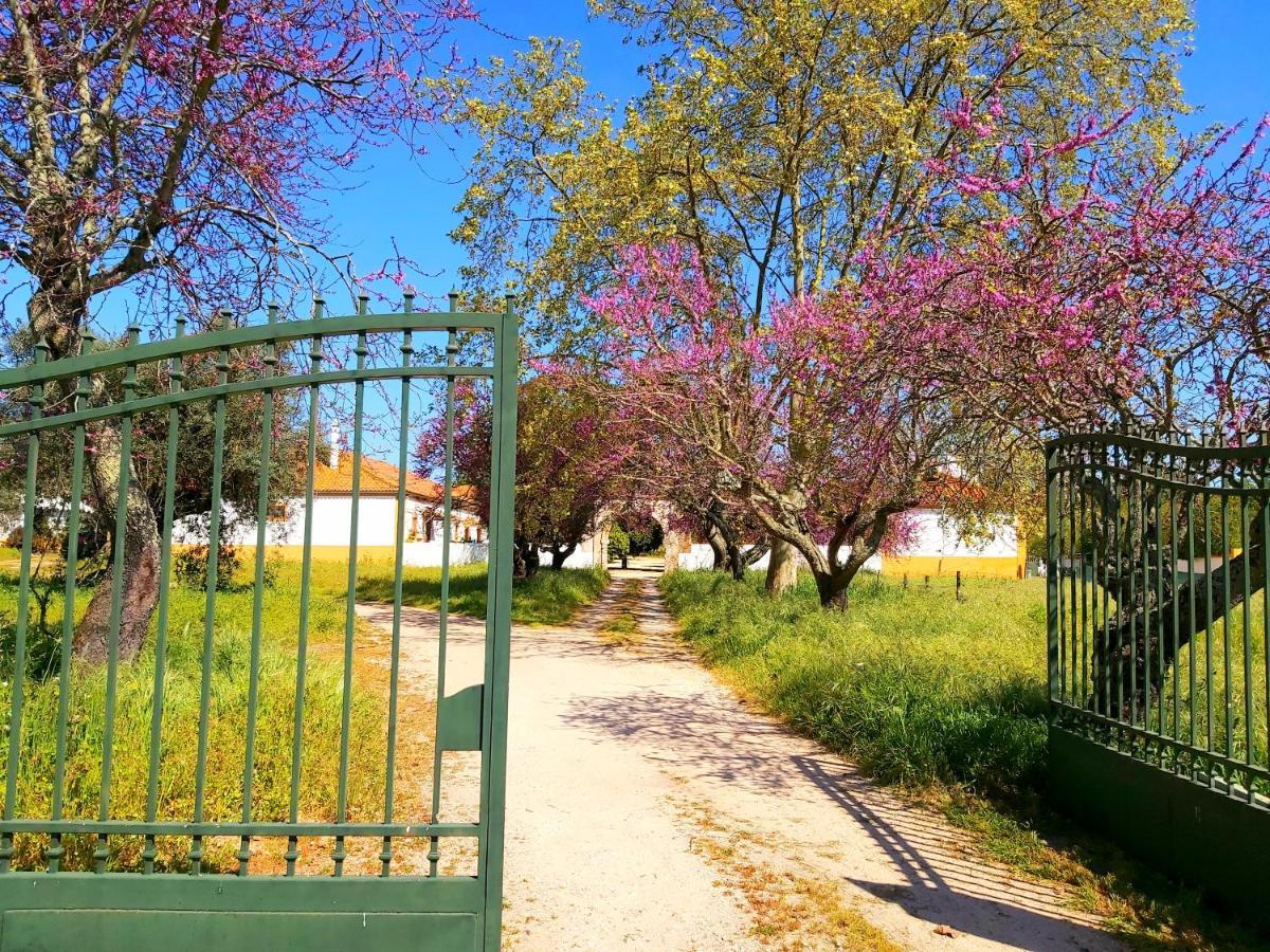 Casas Herdade Do Convento Da Serra Almeirim Esterno foto