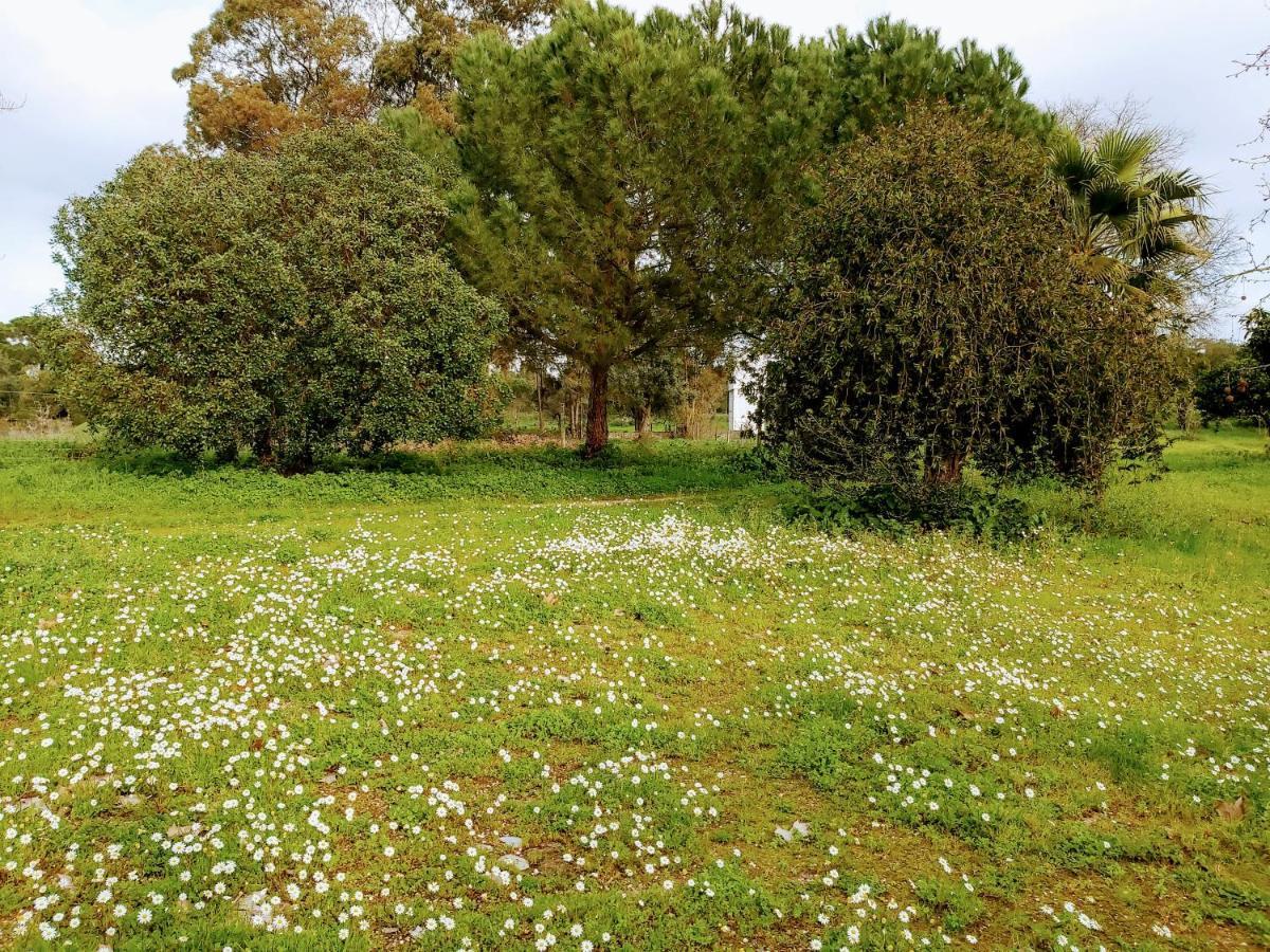 Casas Herdade Do Convento Da Serra Almeirim Esterno foto