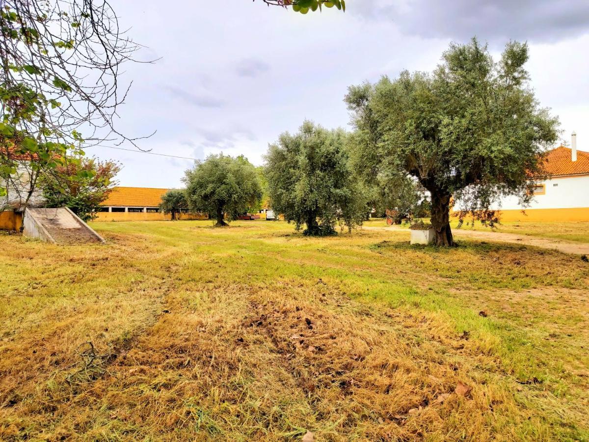 Casas Herdade Do Convento Da Serra Almeirim Esterno foto