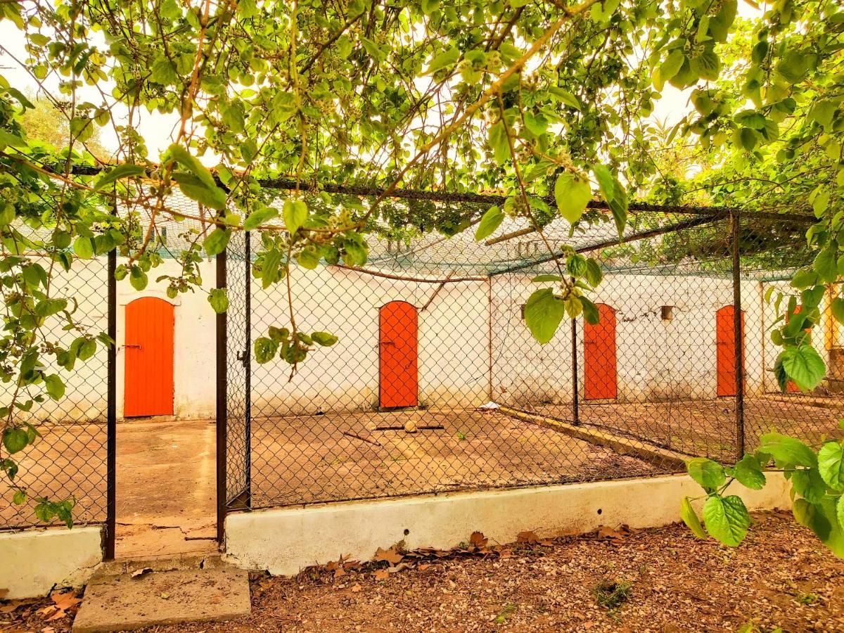 Casas Herdade Do Convento Da Serra Almeirim Esterno foto