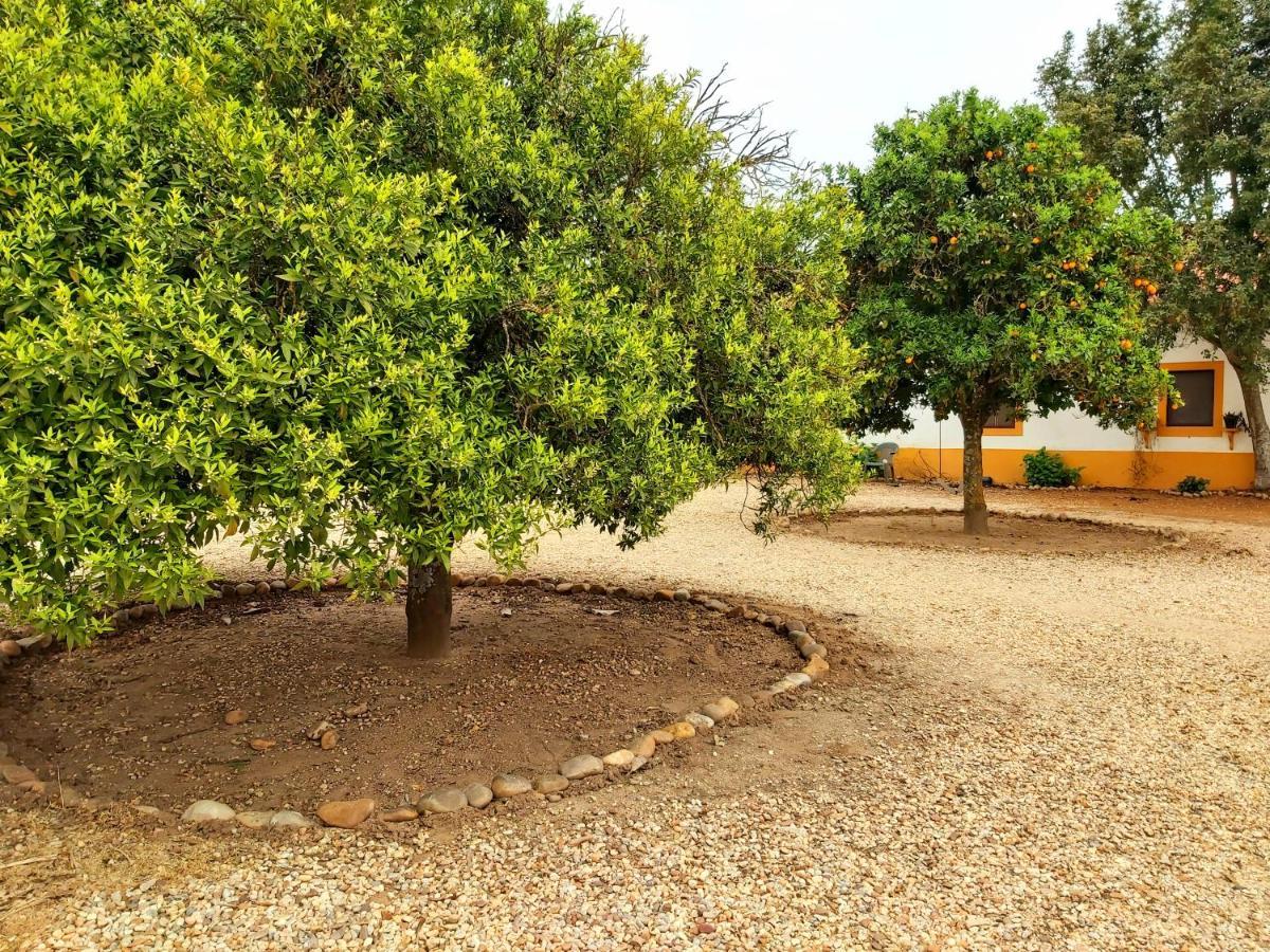 Casas Herdade Do Convento Da Serra Almeirim Esterno foto