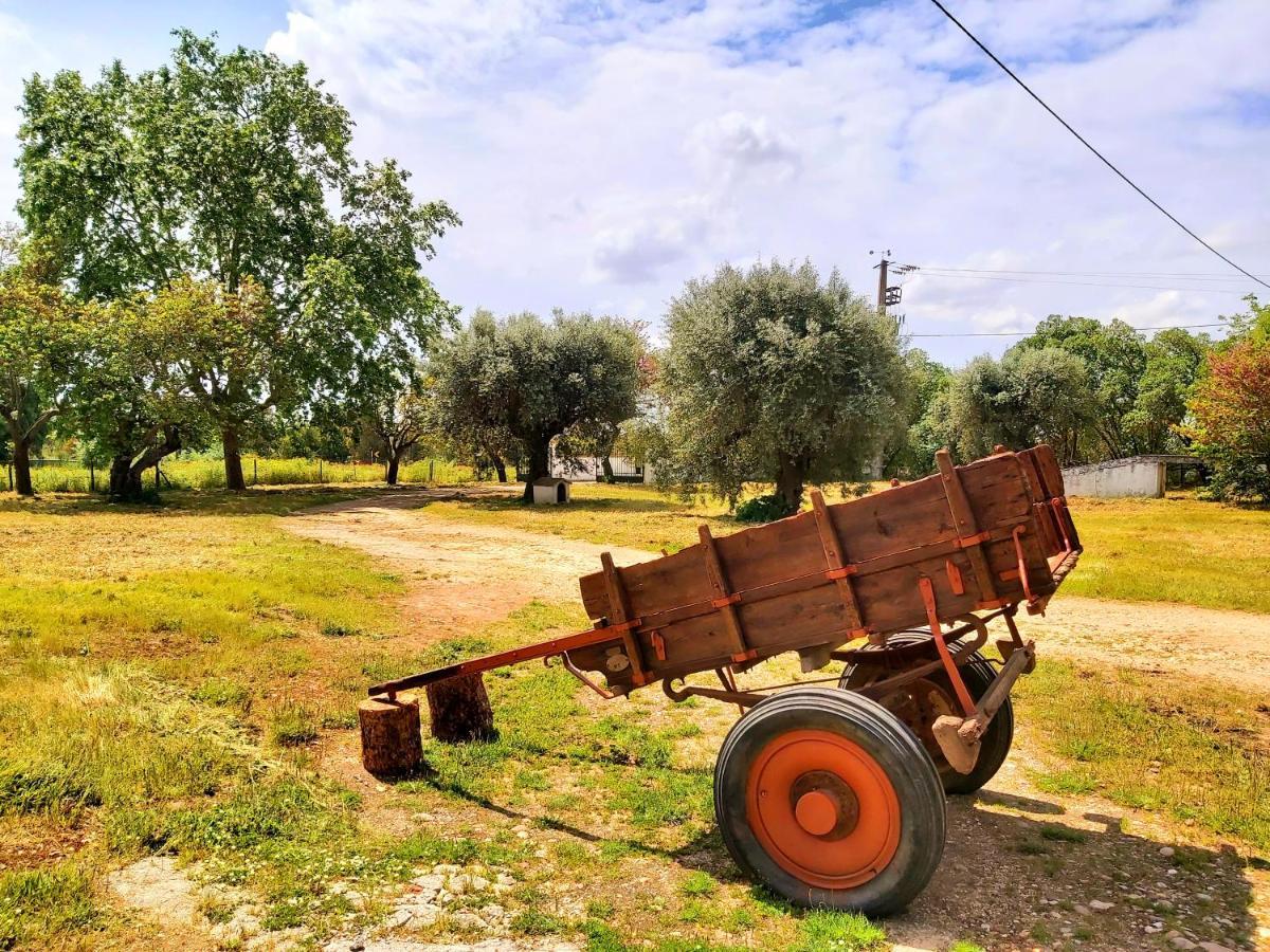 Casas Herdade Do Convento Da Serra Almeirim Esterno foto