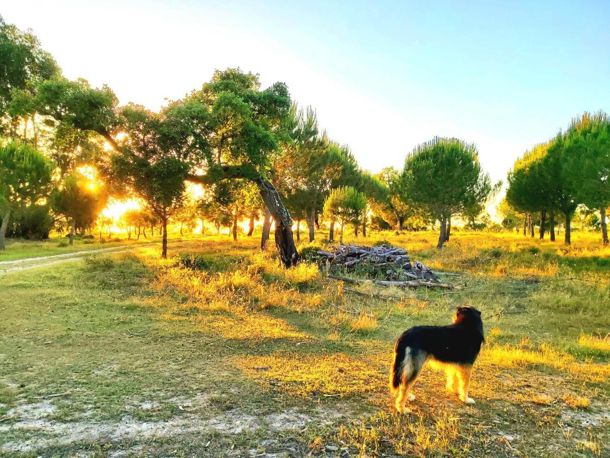 Casas Herdade Do Convento Da Serra Almeirim Esterno foto