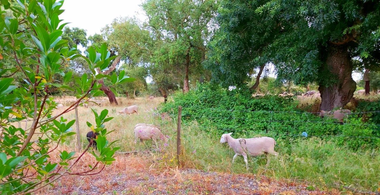 Casas Herdade Do Convento Da Serra Almeirim Esterno foto