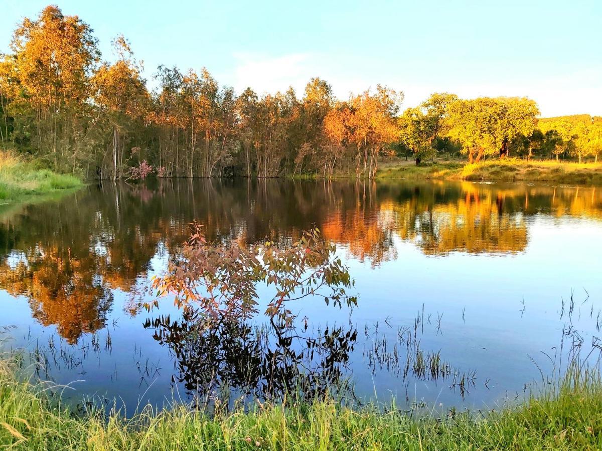 Casas Herdade Do Convento Da Serra Almeirim Esterno foto