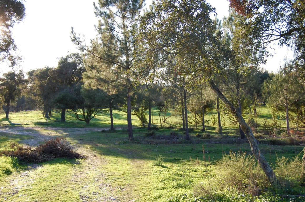 Casas Herdade Do Convento Da Serra Almeirim Esterno foto