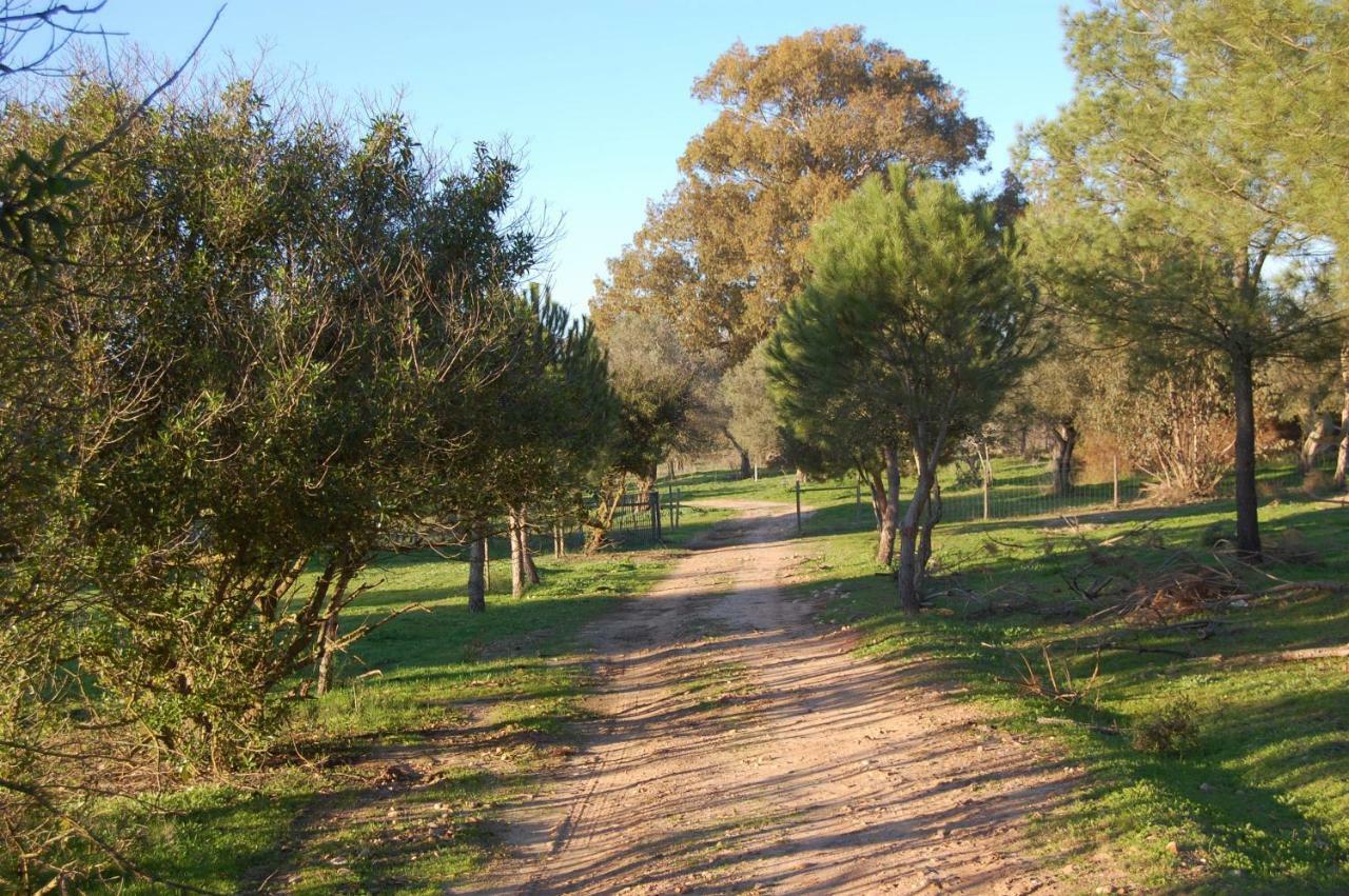 Casas Herdade Do Convento Da Serra Almeirim Esterno foto